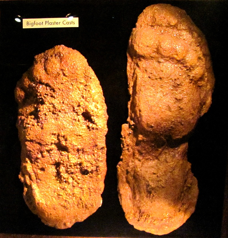 bigfoot-plaster-casts