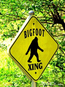 Bigfoot X-ing